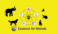 Pacific Essences® Essences for Animals logo Copyright © 2011 Pacific Essences® Ltd.